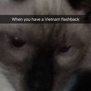 Meet your Posher, Tim